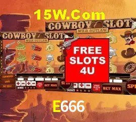 E666 Salvador - Strategy
